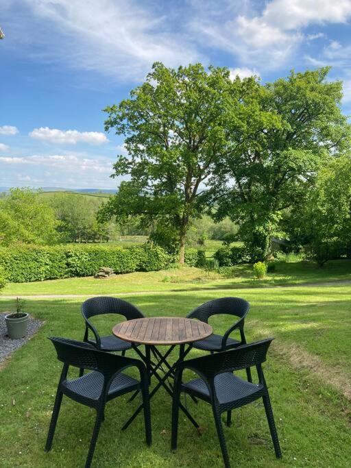 Beautiful Garden Cottage, Close To Llandeilo. Hoel-galed Exterior foto